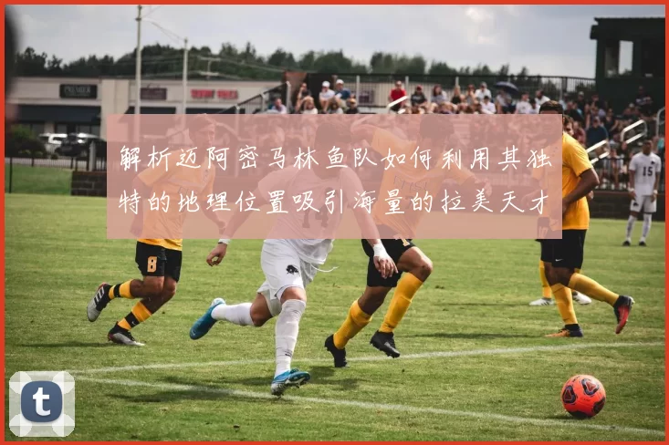 解析迈阿密马林鱼队如何利用其独特的地理位置吸引海量的拉美天才